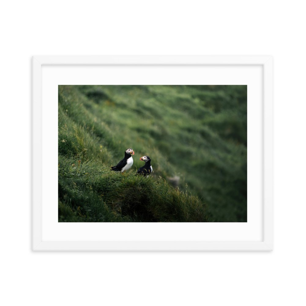 premium-luster-photo-paper-framed-poster-(in)-white-16x20-transparent-6571f5ce7e9e6.jpg