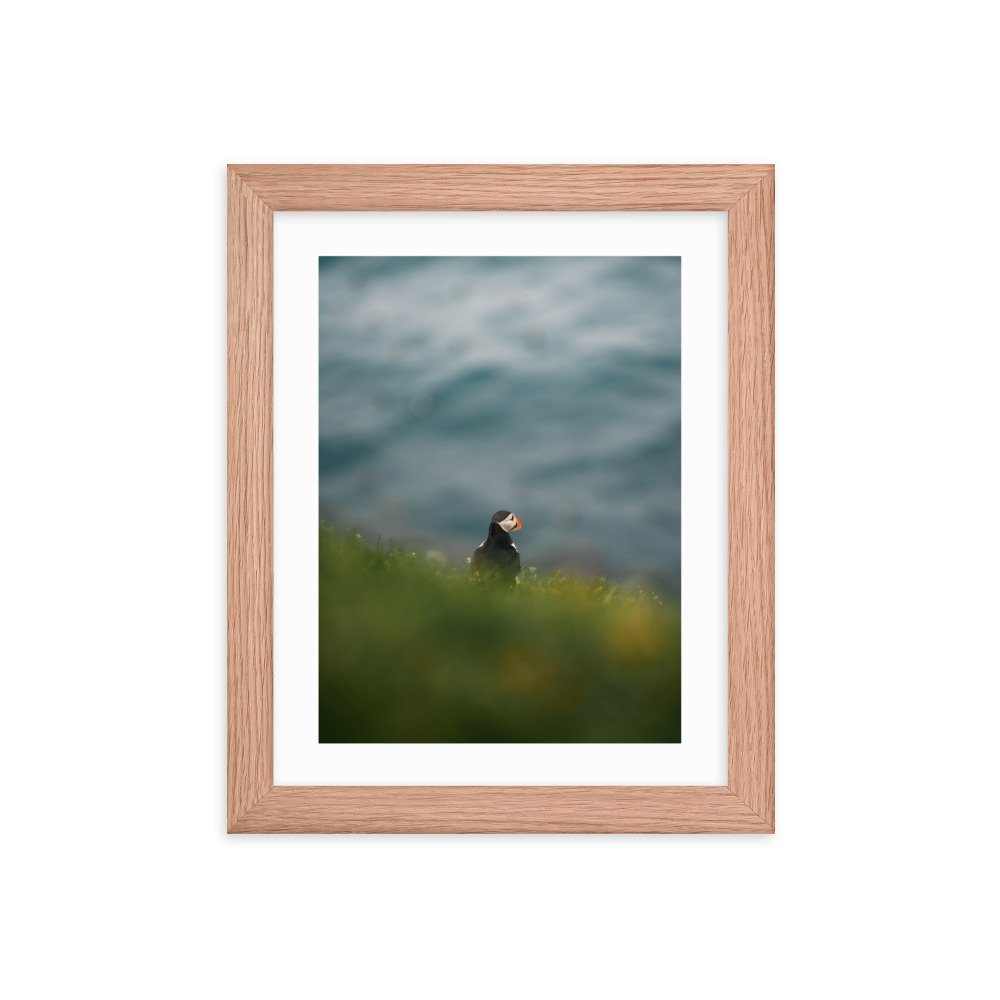 premium-luster-photo-paper-framed-poster-(in)-red-oak-8x10-transparent-6571f668ba705.jpg