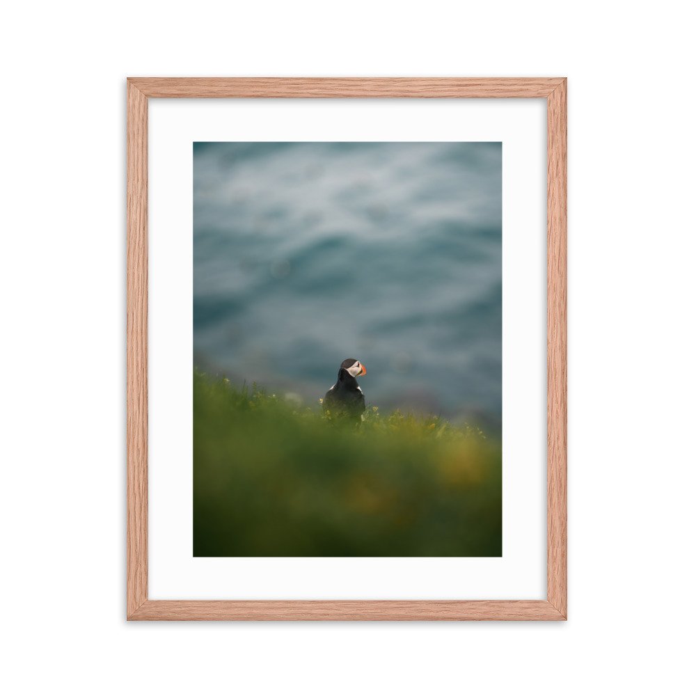 premium-luster-photo-paper-framed-poster-(in)-red-oak-16x20-transparent-6571f668ba79a.jpg
