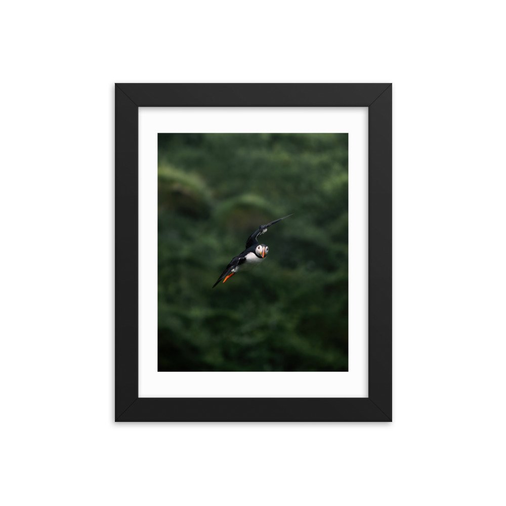 premium-luster-photo-paper-framed-poster-(in)-black-8x10-transparent-6571f72472527.jpg