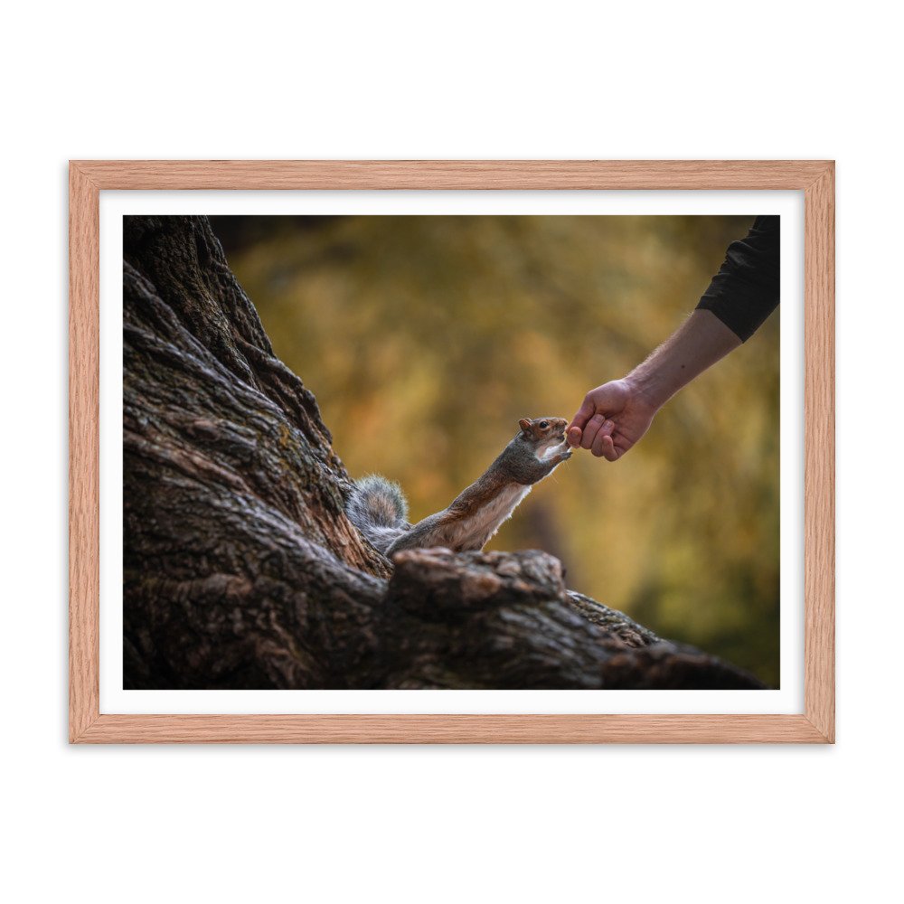 premium-luster-photo-paper-framed-poster-(in)-red-oak-18x24-transparent-6571f8a263279.jpg