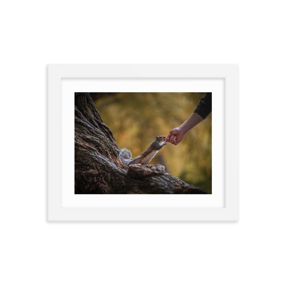 premium-luster-photo-paper-framed-poster-(in)-white-8x10-transparent-6571f8a2632e5.jpg