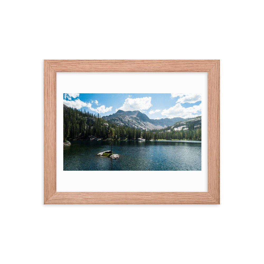 premium-luster-photo-paper-framed-poster-(in)-red-oak-8x10-transparent-6571f9c9bdb1d.jpg