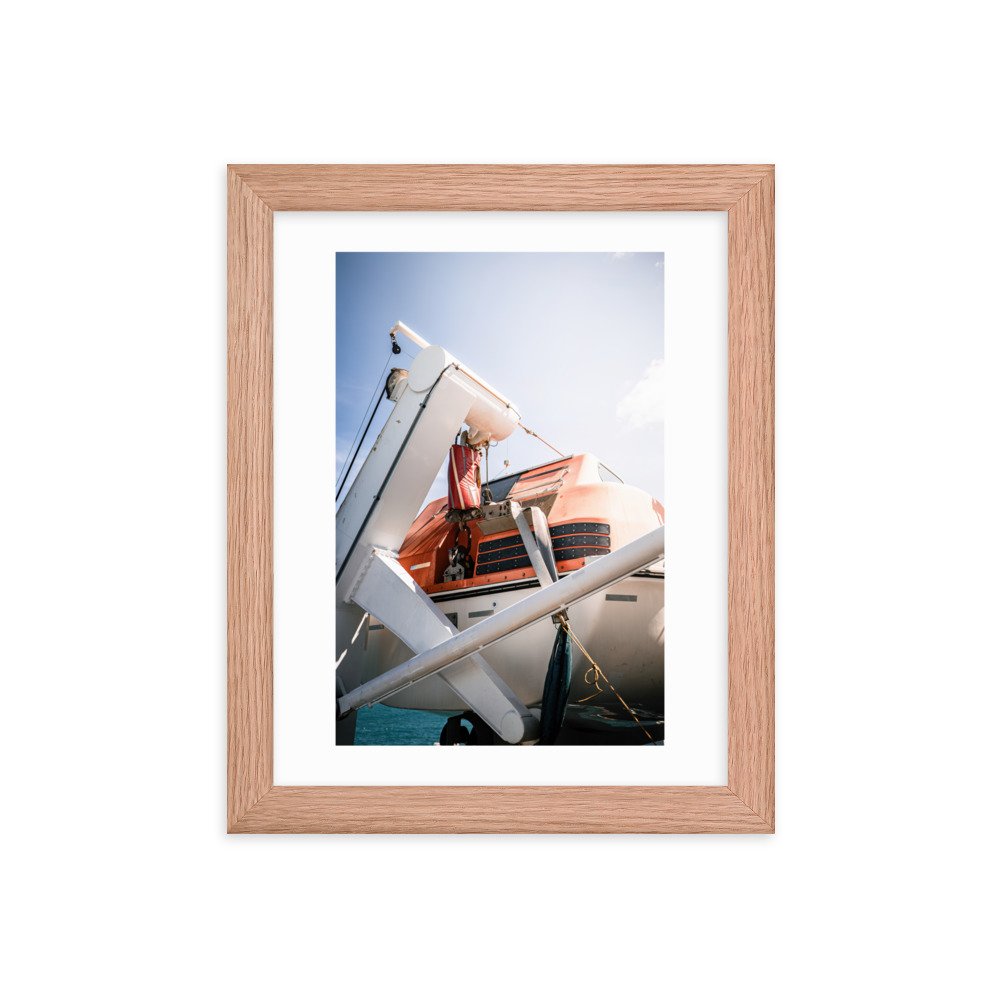 premium-luster-photo-paper-framed-poster-(in)-red-oak-8x10-transparent-65721c7202ece.jpg