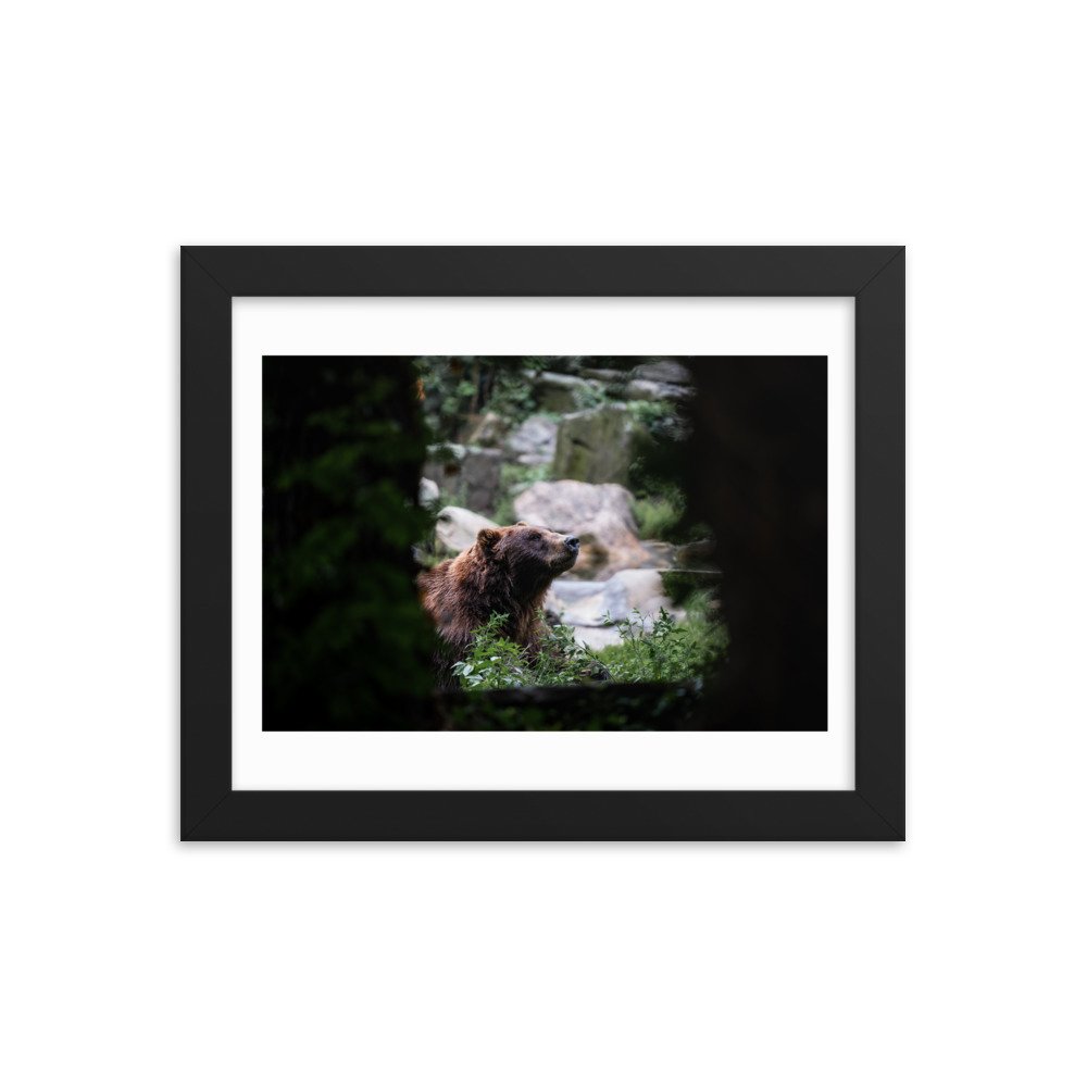 premium-luster-photo-paper-framed-poster-(in)-black-8x10-transparent-65721ea1baa60.jpg