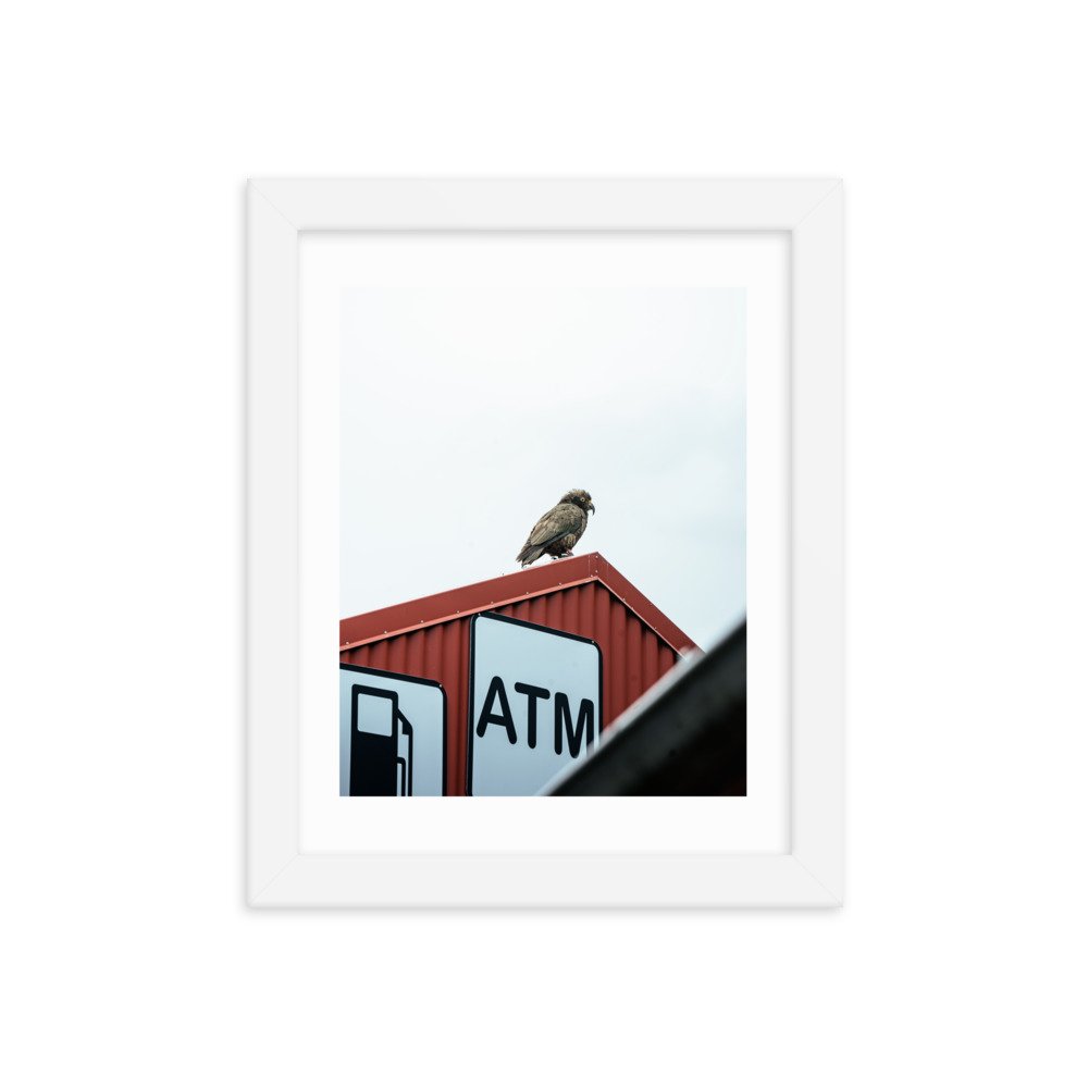 premium-luster-photo-paper-framed-poster-(in)-white-8x10-transparent-657220cb6095f.jpg
