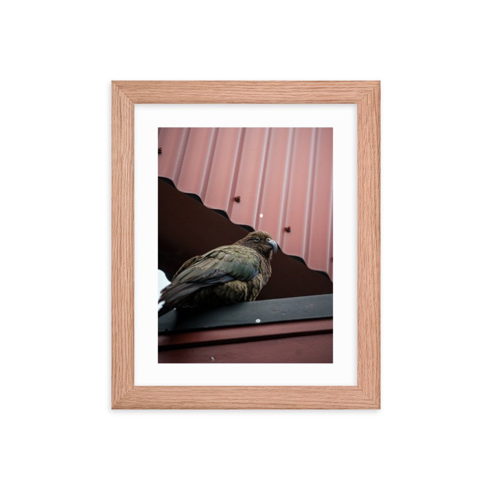 premium-luster-photo-paper-framed-poster-(in)-red-oak-8x10-transparent-6572245586f4d.jpg