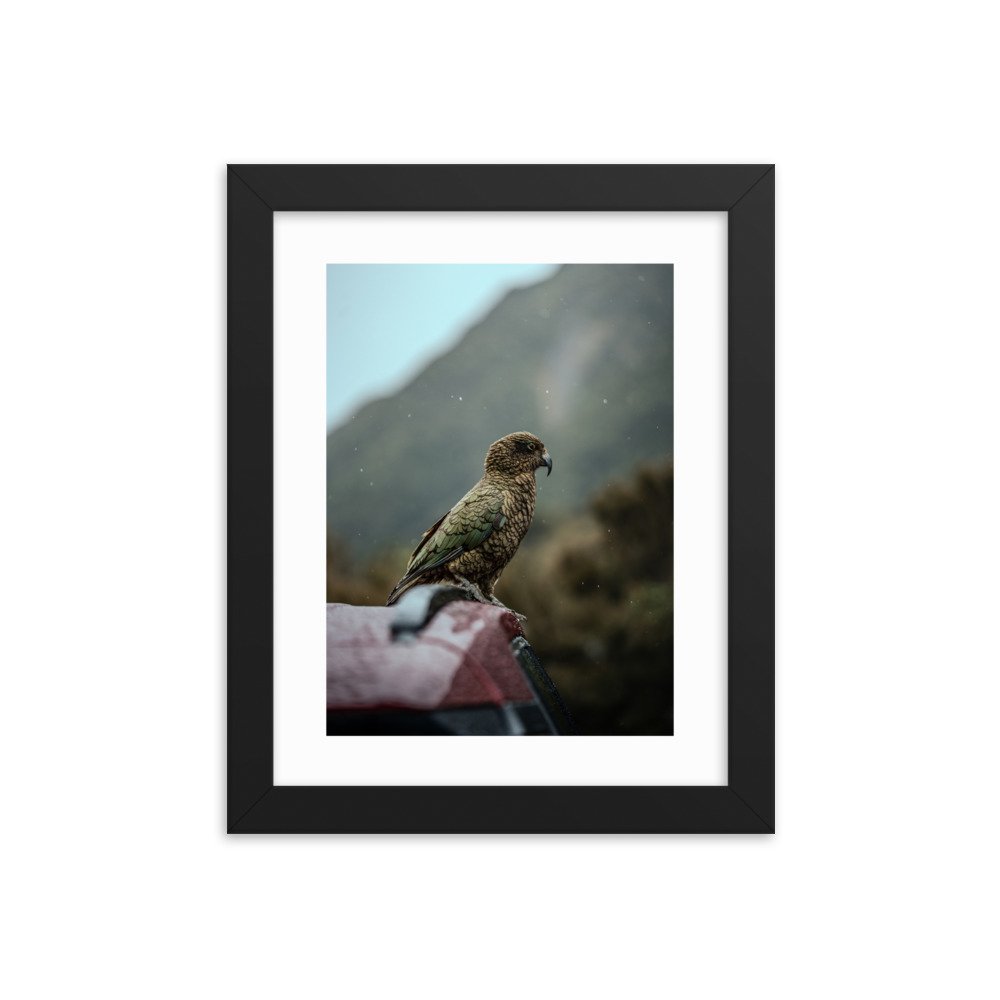 premium-luster-photo-paper-framed-poster-(in)-black-8x10-transparent-65722b88e6925.jpg