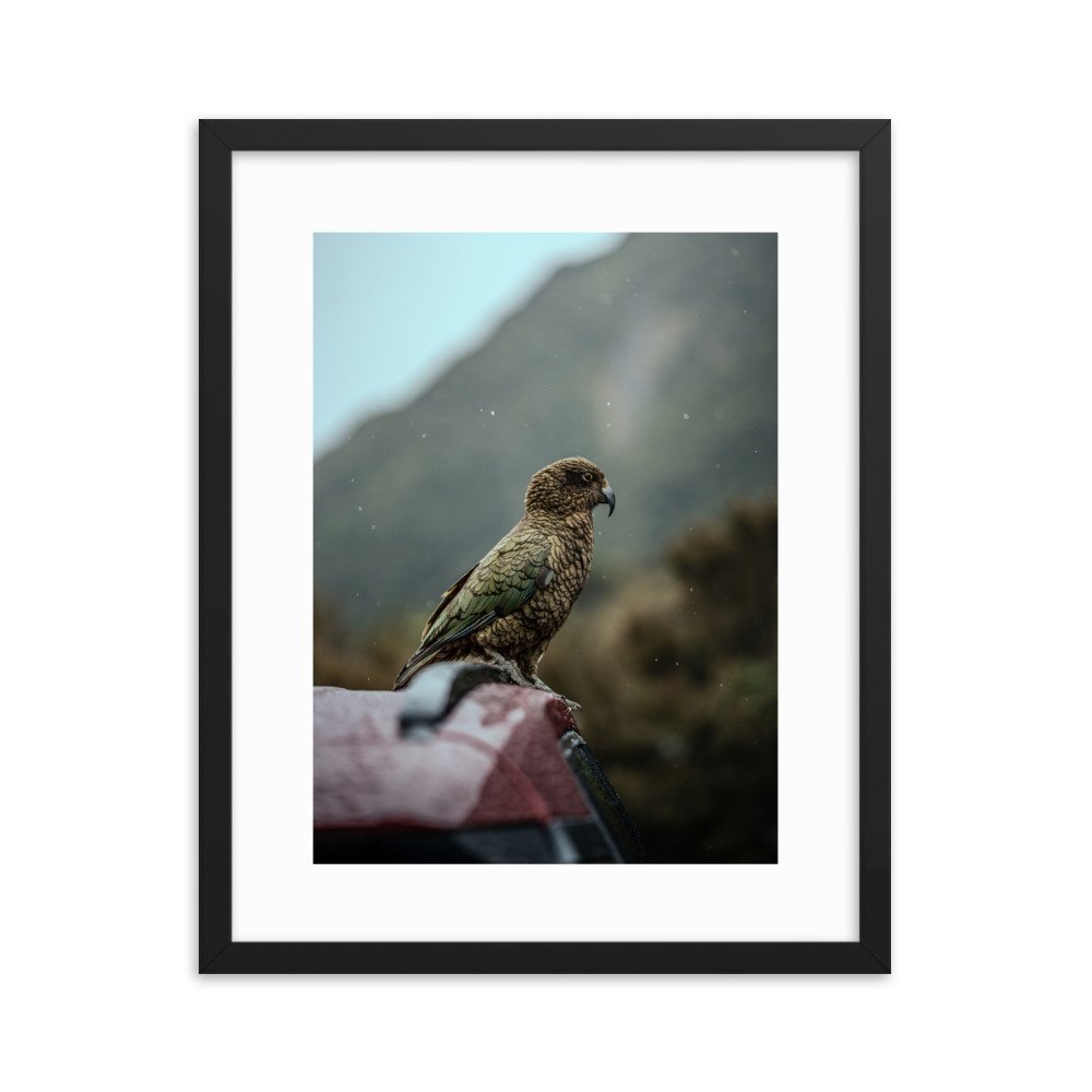 premium-luster-photo-paper-framed-poster-(in)-black-16x20-transparent-65722b88e69ad.jpg