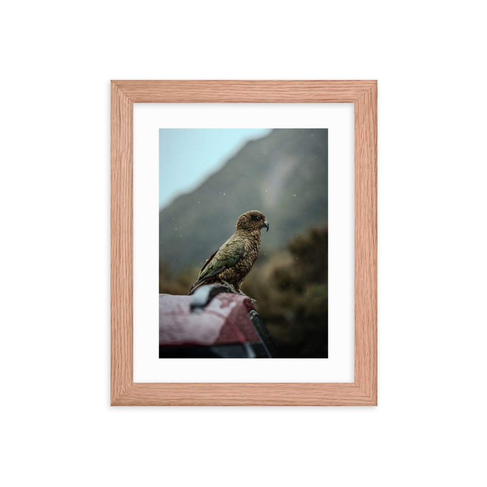 premium-luster-photo-paper-framed-poster-(in)-red-oak-8x10-transparent-65722b88e6a35.jpg