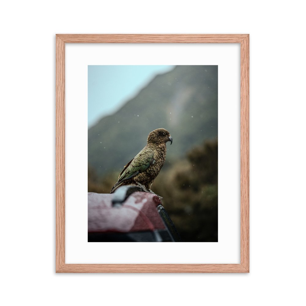 premium-luster-photo-paper-framed-poster-(in)-red-oak-16x20-transparent-65722b88e6a95.jpg