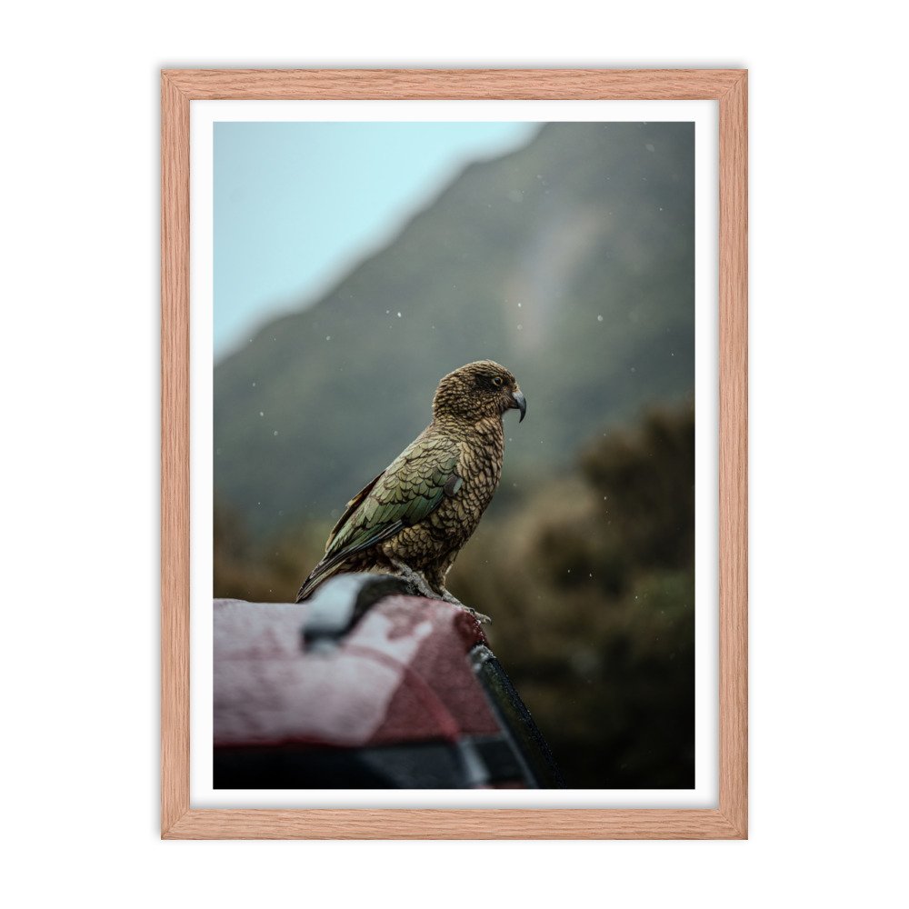premium-luster-photo-paper-framed-poster-(in)-red-oak-18x24-transparent-65722b88e6afb.jpg
