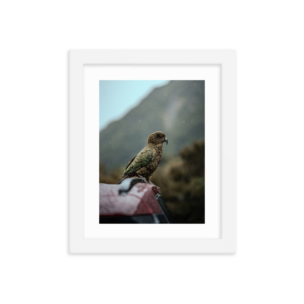 premium-luster-photo-paper-framed-poster-(in)-white-8x10-transparent-65722b88e6b54.jpg