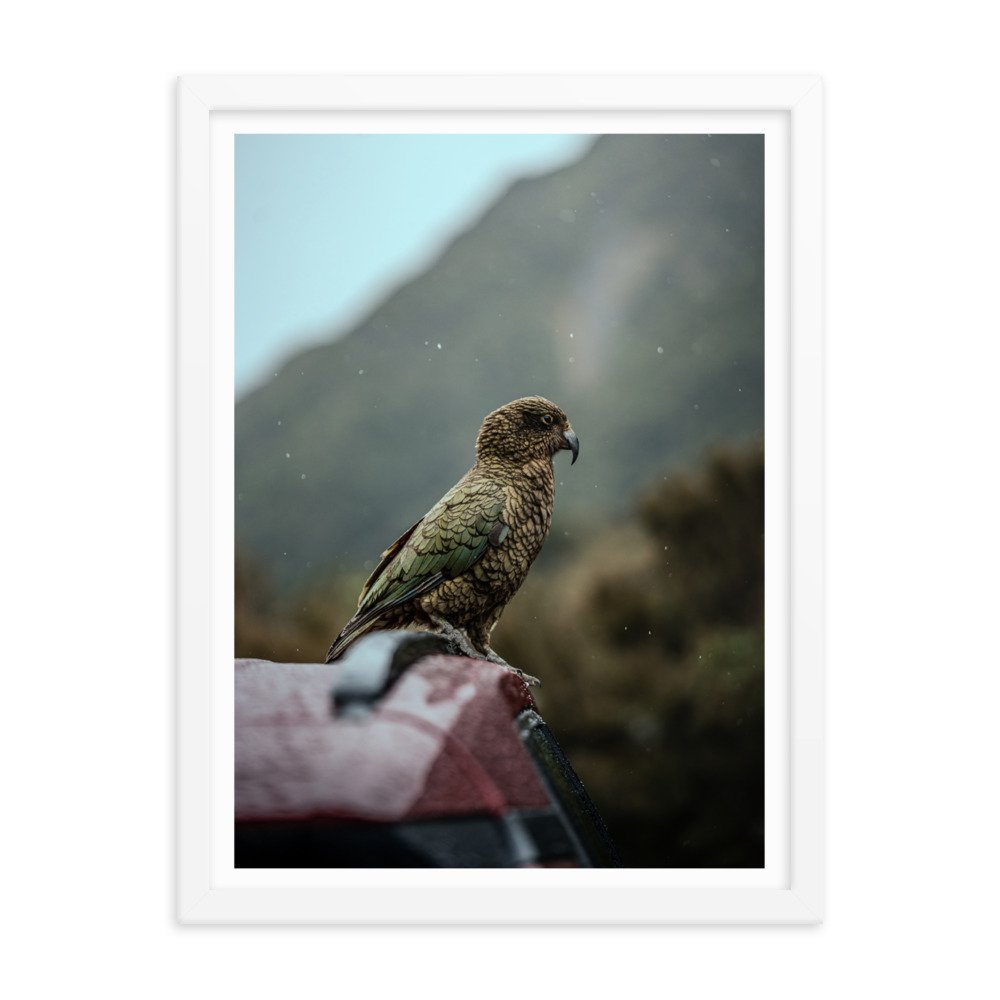 premium-luster-photo-paper-framed-poster-(in)-white-18x24-transparent-65722b88e6c05.jpg