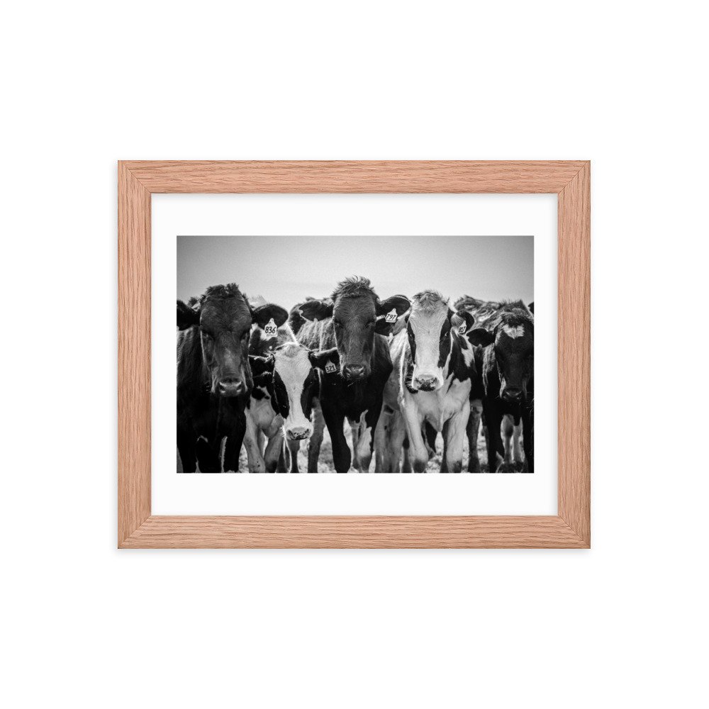 premium-luster-photo-paper-framed-poster-(in)-red-oak-8x10-transparent-65722e3fe7b6a.jpg