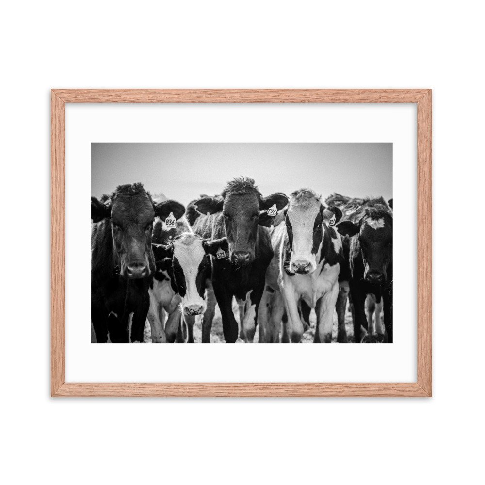 premium-luster-photo-paper-framed-poster-(in)-red-oak-16x20-transparent-65722e3fe7bce.jpg