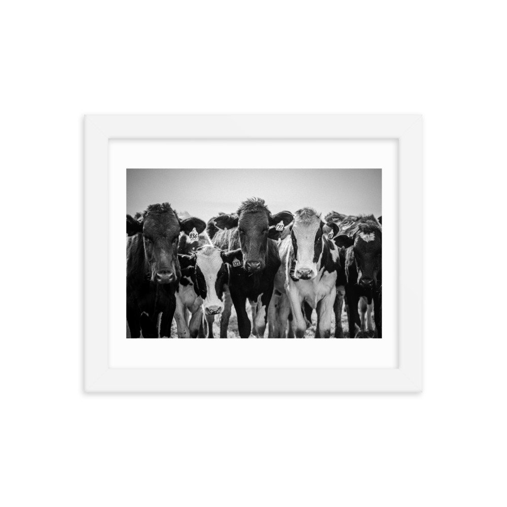 premium-luster-photo-paper-framed-poster-(in)-white-8x10-transparent-65722e3fe7c9a.jpg