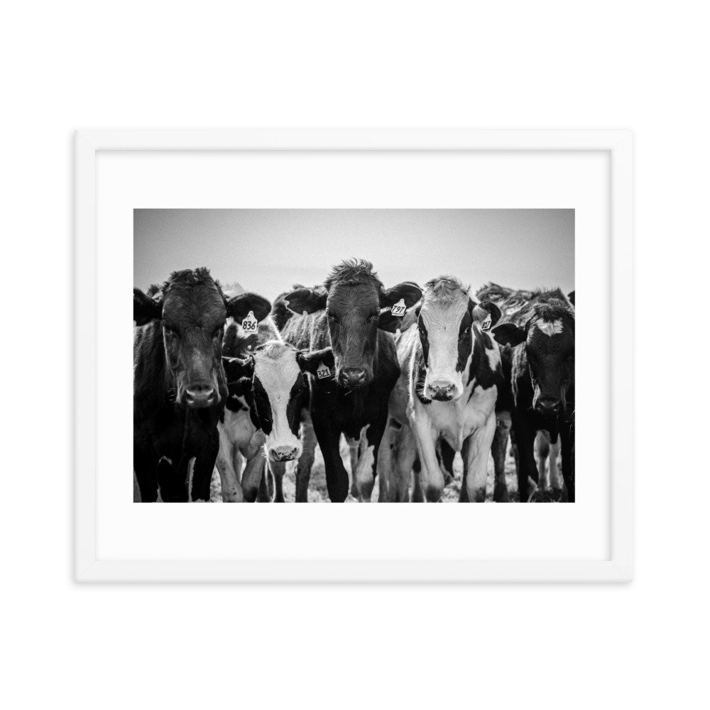 premium-luster-photo-paper-framed-poster-(in)-white-16x20-transparent-65722e3fe7d11.jpg