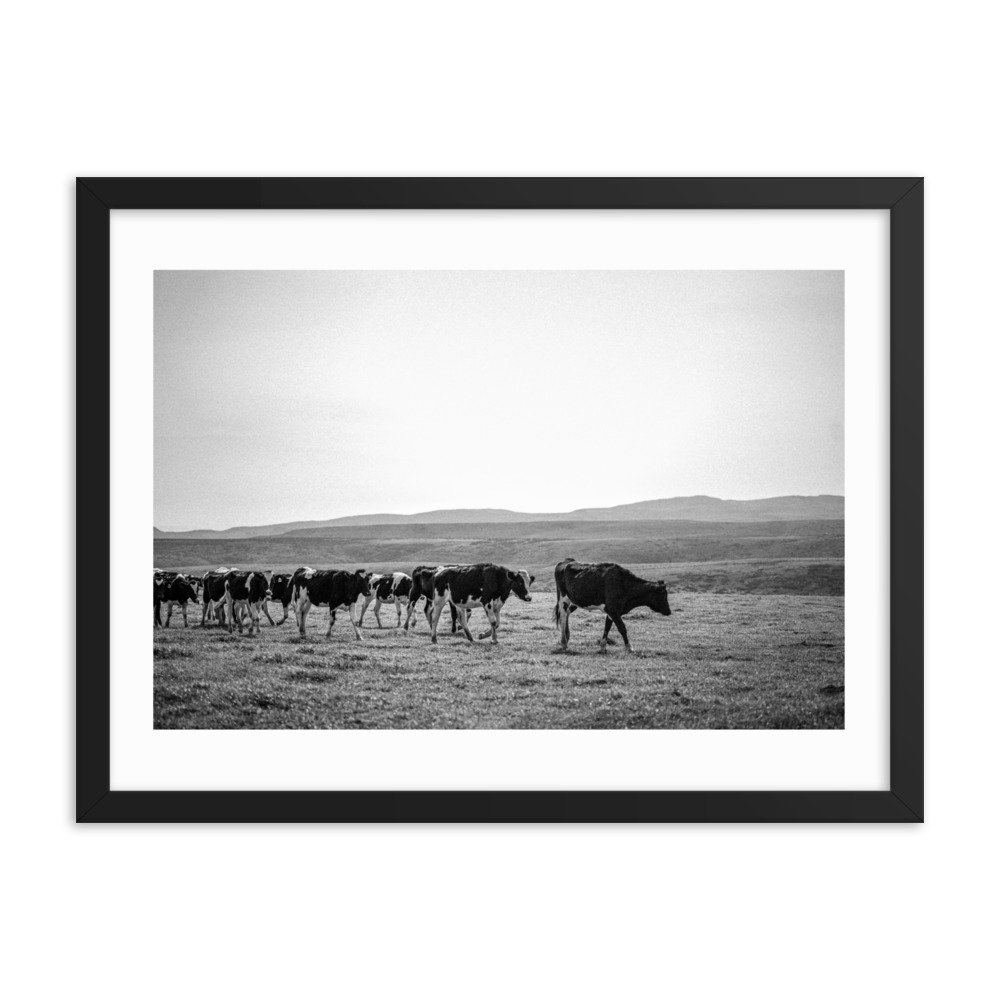 premium-luster-photo-paper-framed-poster-(in)-black-18x24-transparent-65722e8c37bfc.jpg