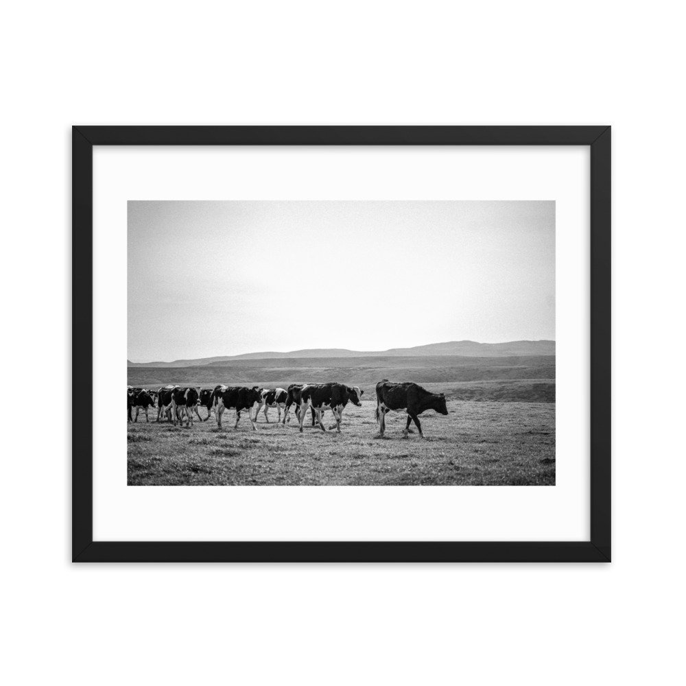 premium-luster-photo-paper-framed-poster-(in)-black-16x20-transparent-65722e8c39b9f.jpg