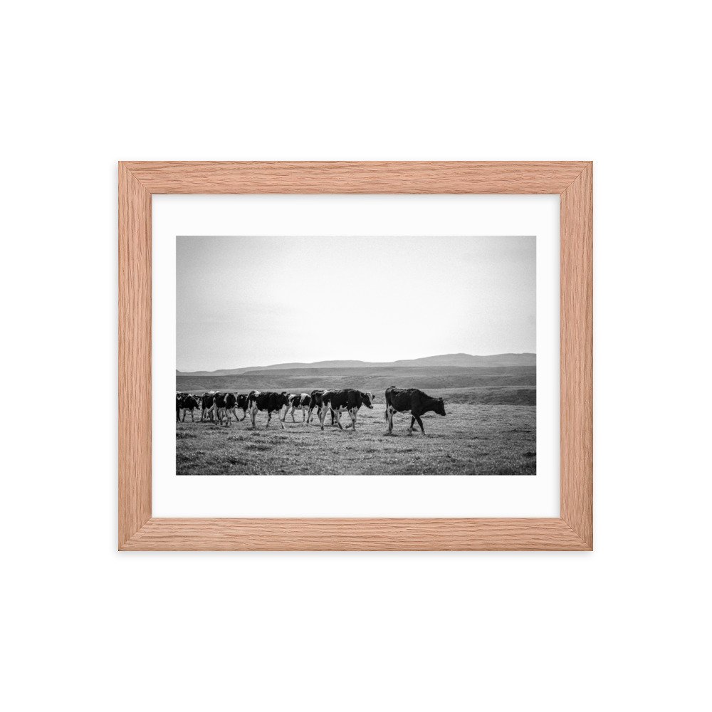 premium-luster-photo-paper-framed-poster-(in)-red-oak-8x10-transparent-65722e8c39c4c.jpg