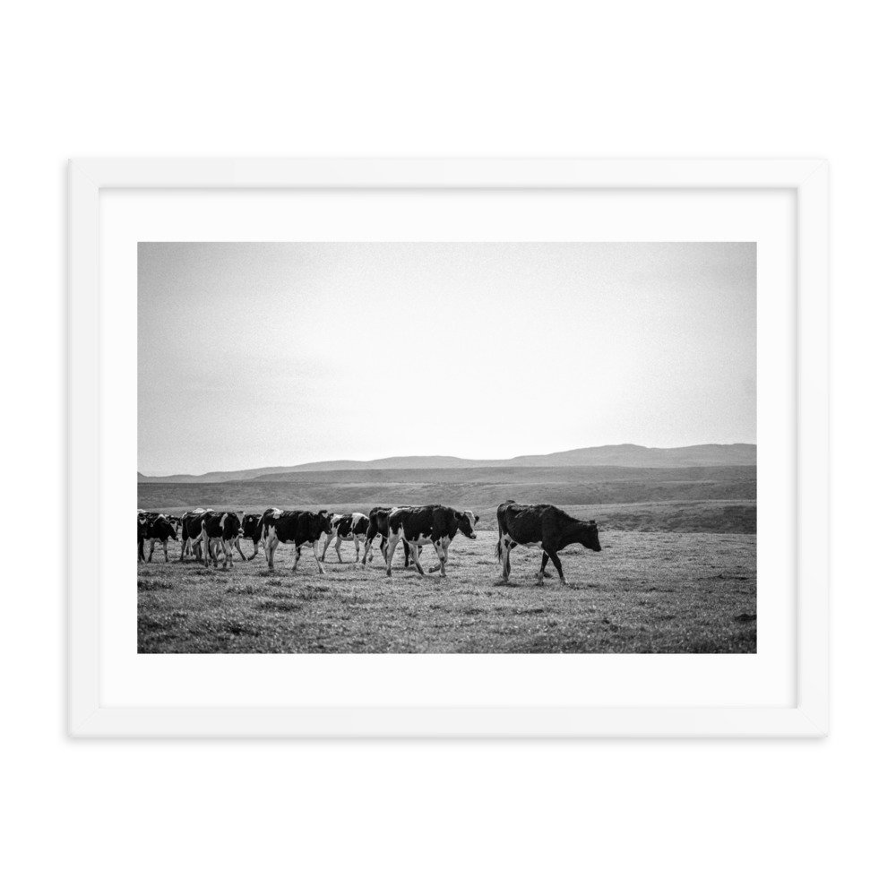 premium-luster-photo-paper-framed-poster-(in)-white-18x24-transparent-65722e8c39dfa.jpg