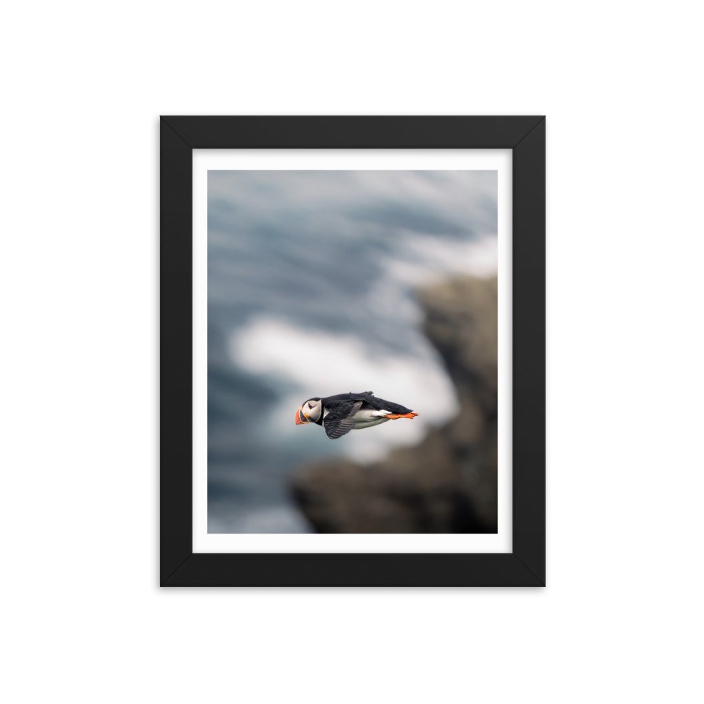 premium-luster-photo-paper-framed-poster-(in)-black-8x10-transparent-659c0d4ade280.jpg