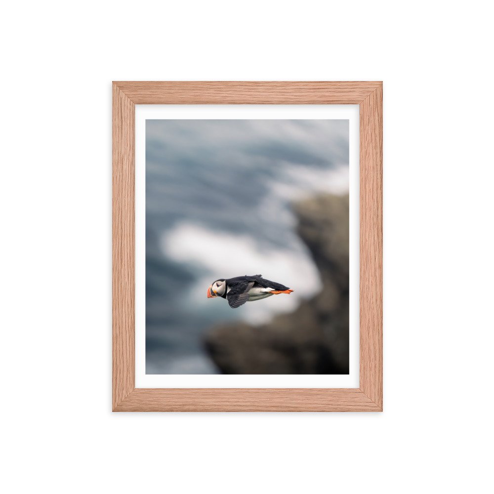 premium-luster-photo-paper-framed-poster-(in)-red-oak-8x10-transparent-659c0d4ade47c.jpg