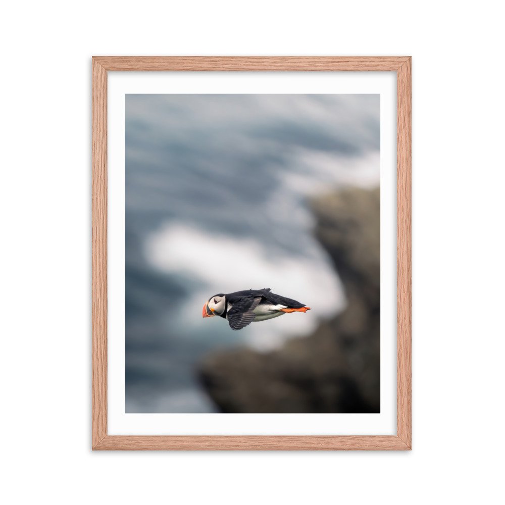 premium-luster-photo-paper-framed-poster-(in)-red-oak-16x20-transparent-659c0d4ade53b.jpg