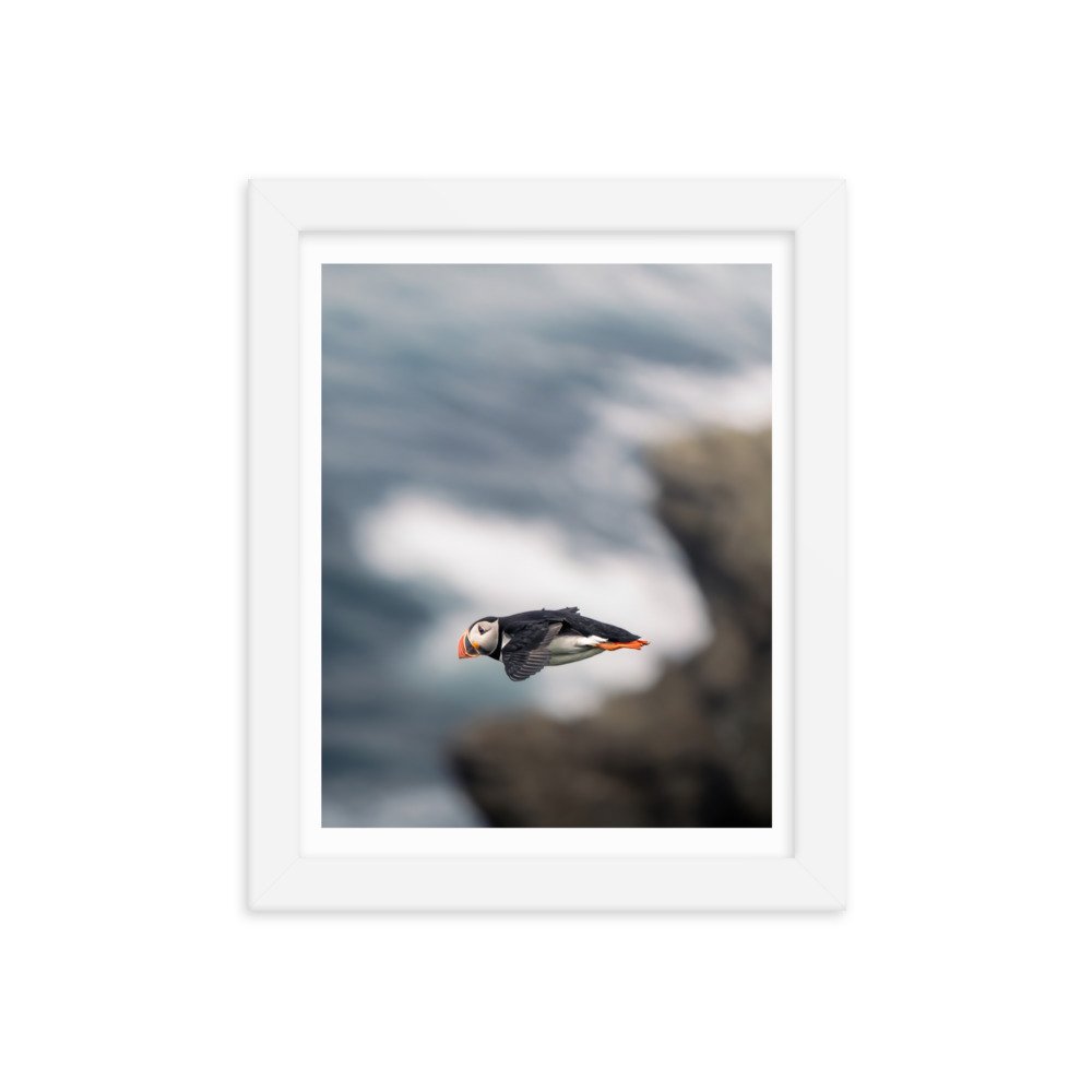 premium-luster-photo-paper-framed-poster-(in)-white-8x10-transparent-659c0d4ade6a2.jpg