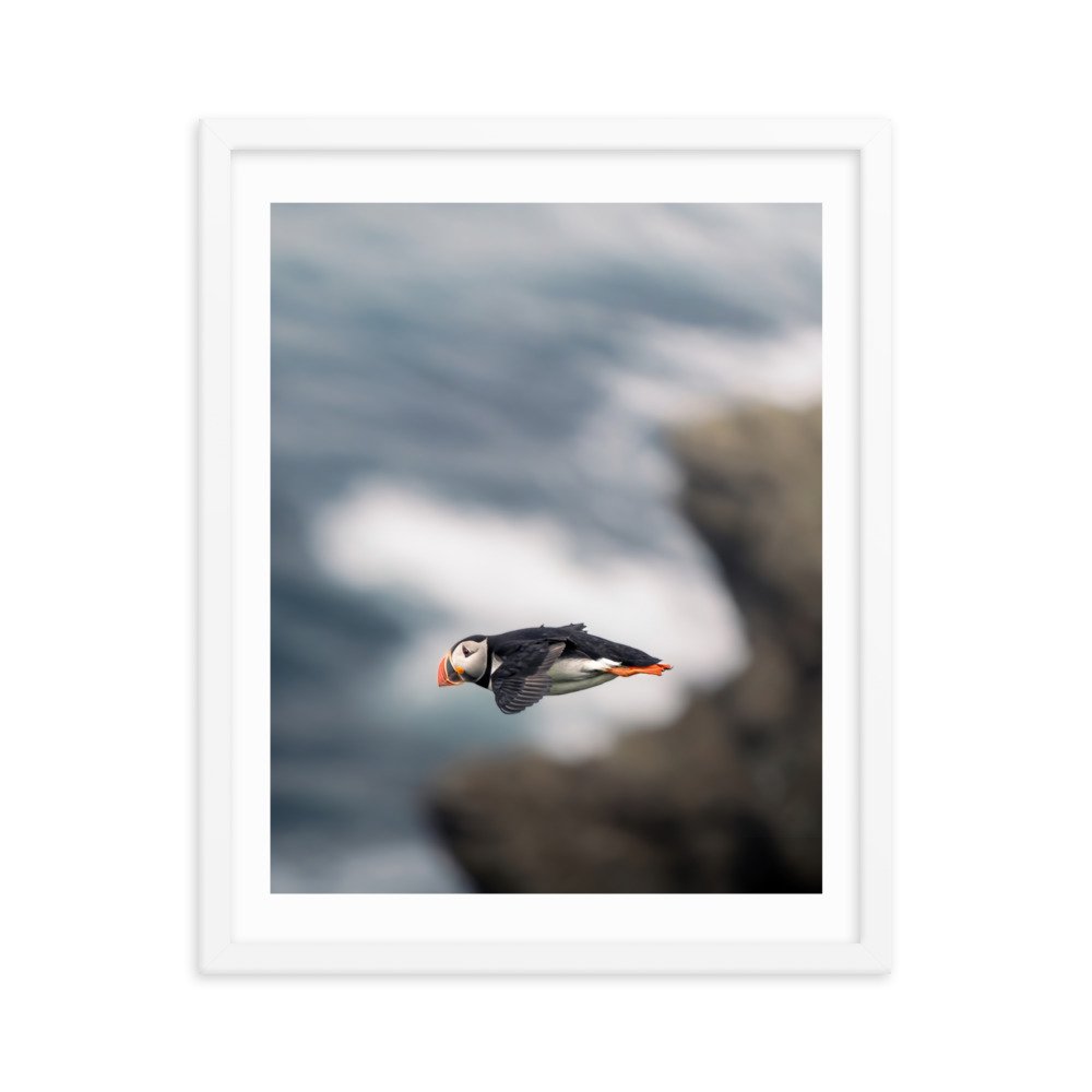 premium-luster-photo-paper-framed-poster-(in)-white-16x20-transparent-659c0d4ade75e.jpg