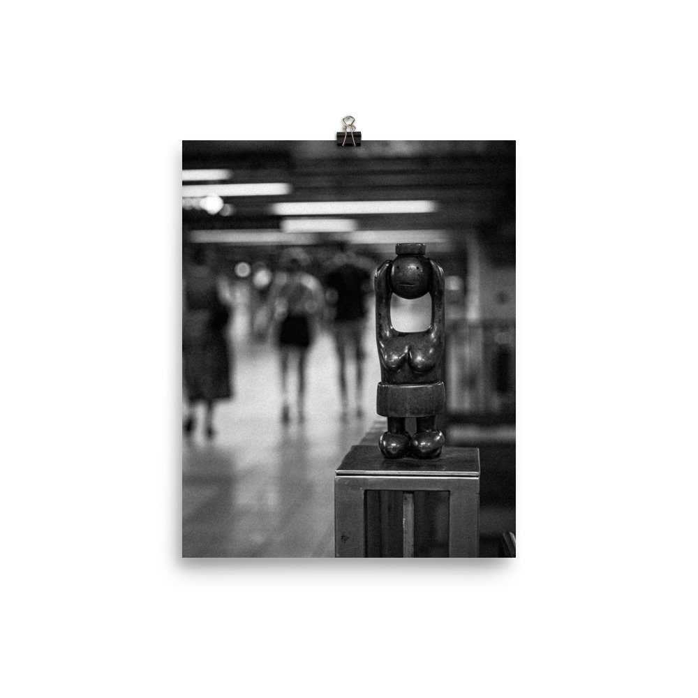 premium-luster-photo-paper-poster-(in)-8x10-transparent-659c3aef9df4a.jpg