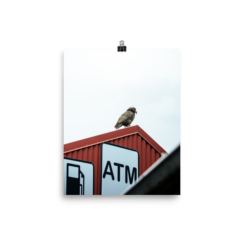 premium-luster-photo-paper-poster-(in)-8x10-transparent-659c41b4e9950.jpg