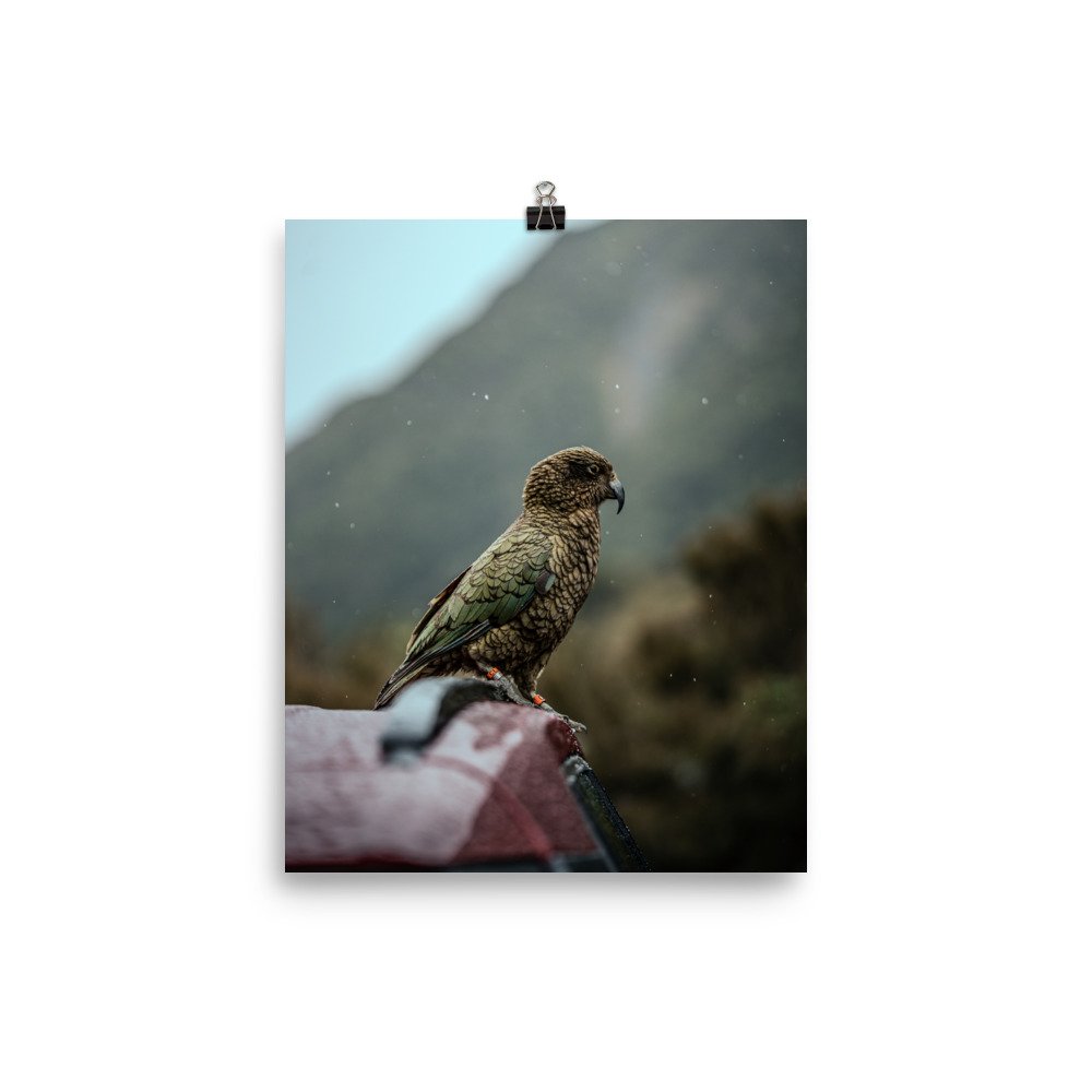 premium-luster-photo-paper-poster-(in)-8x10-transparent-659c4245a441f.jpg