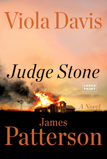 Judge Stone: A Novel  2026