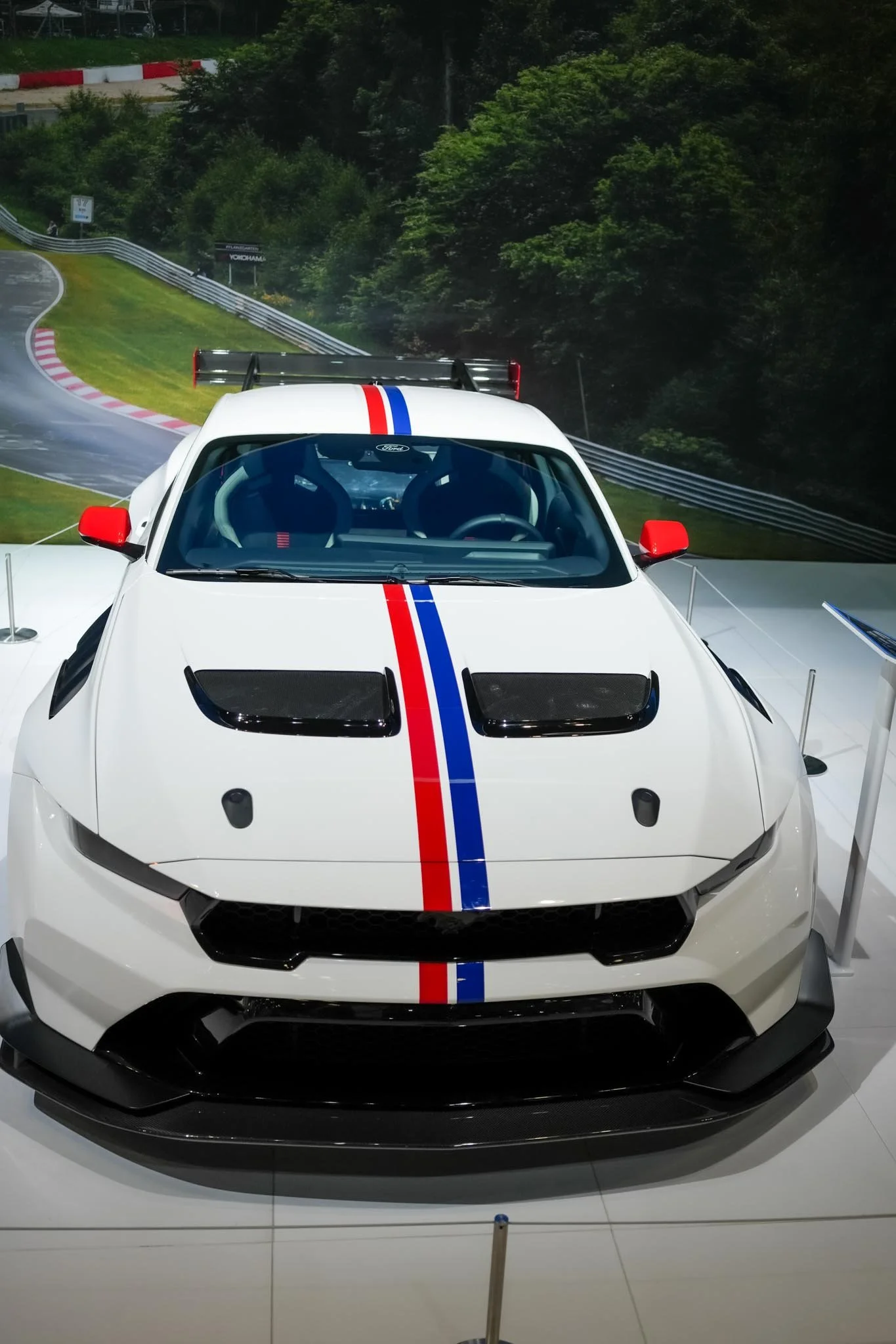 Photo by Joseph Fraia