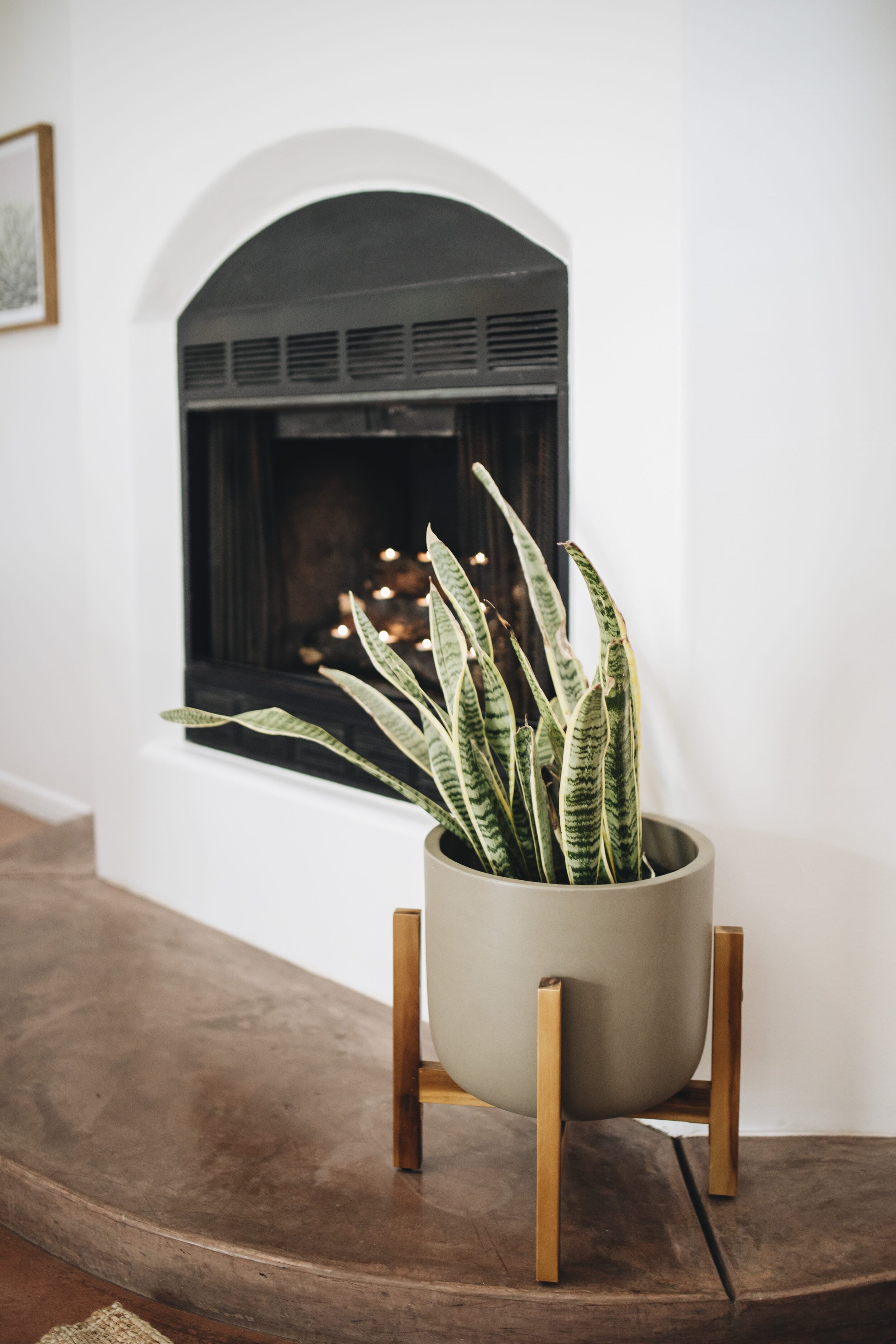 Arroyo Suite Decoration (Copy)