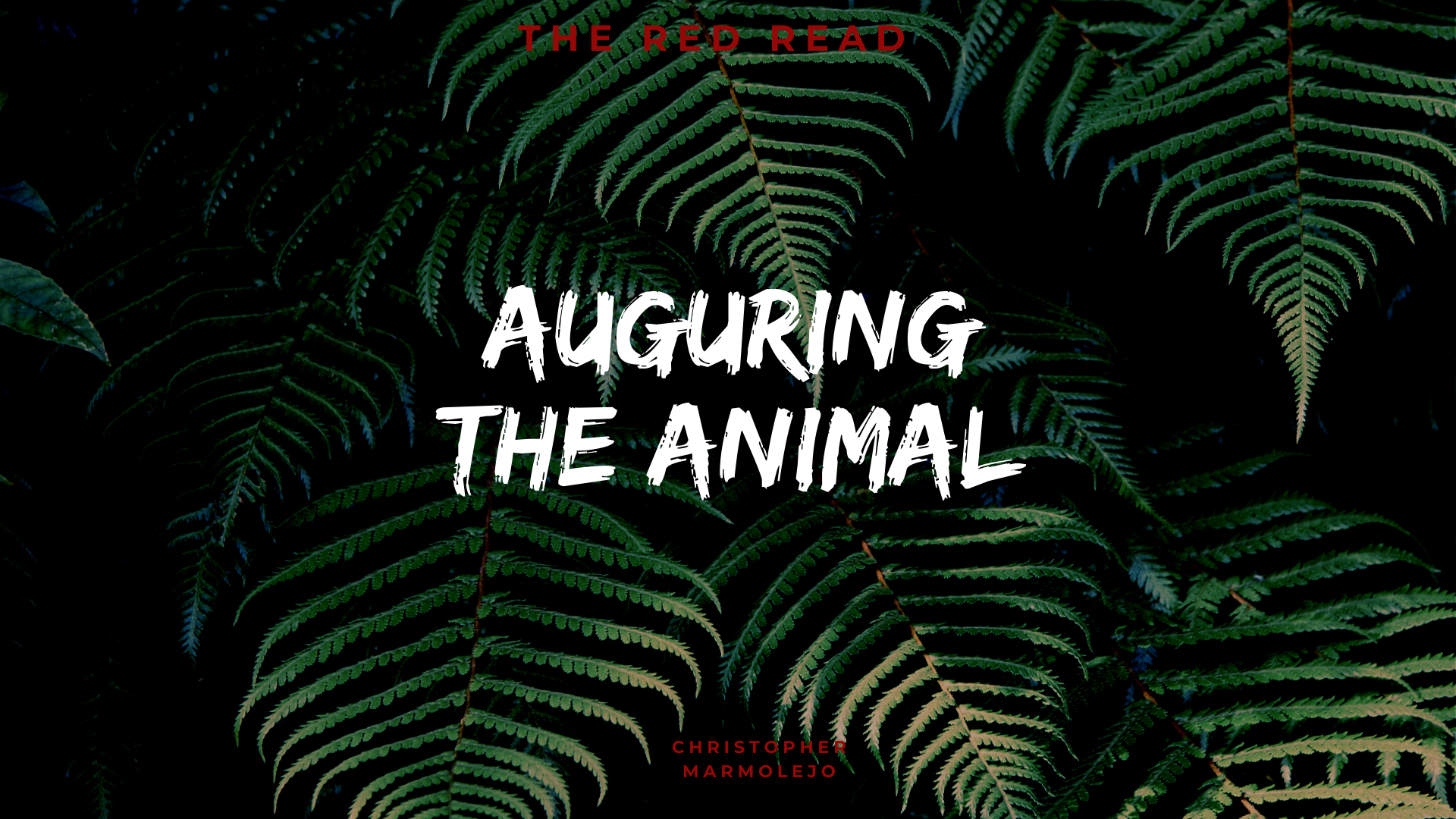 Auguring the Animal (4).png