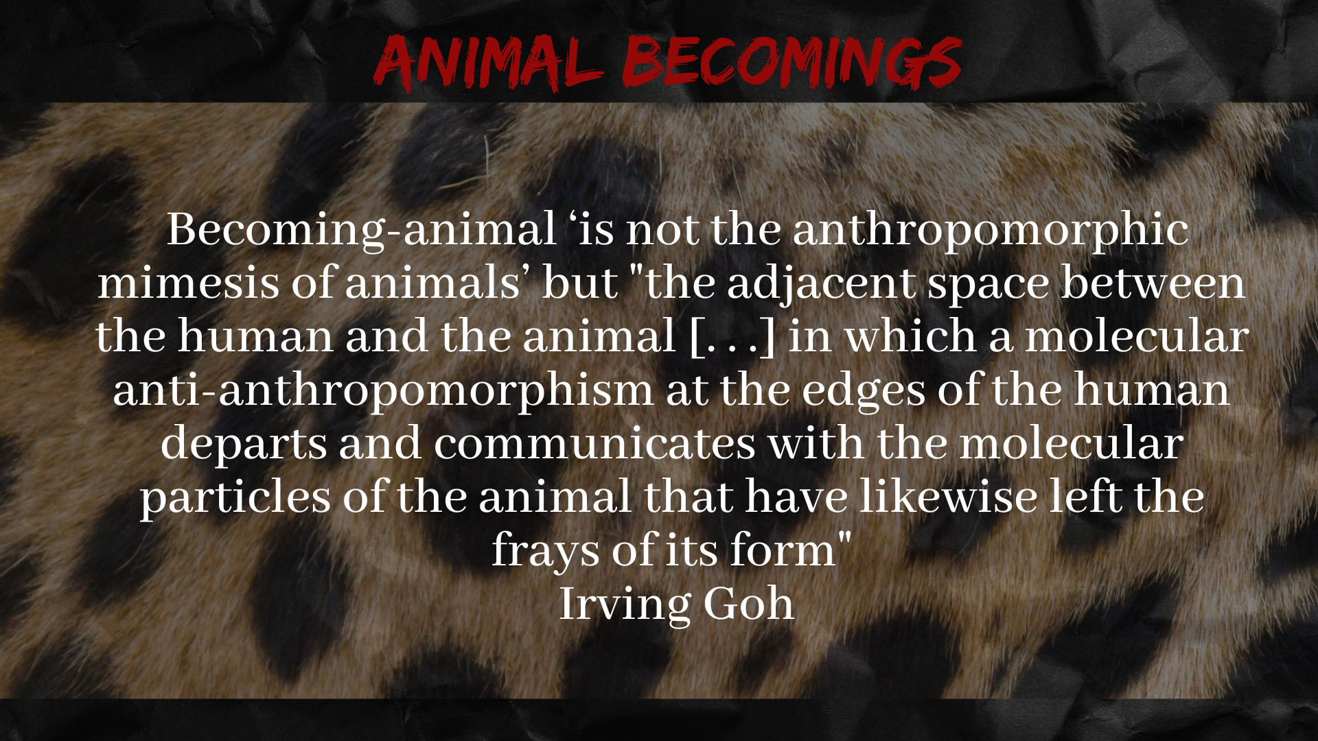 Auguring the Animal (5).png