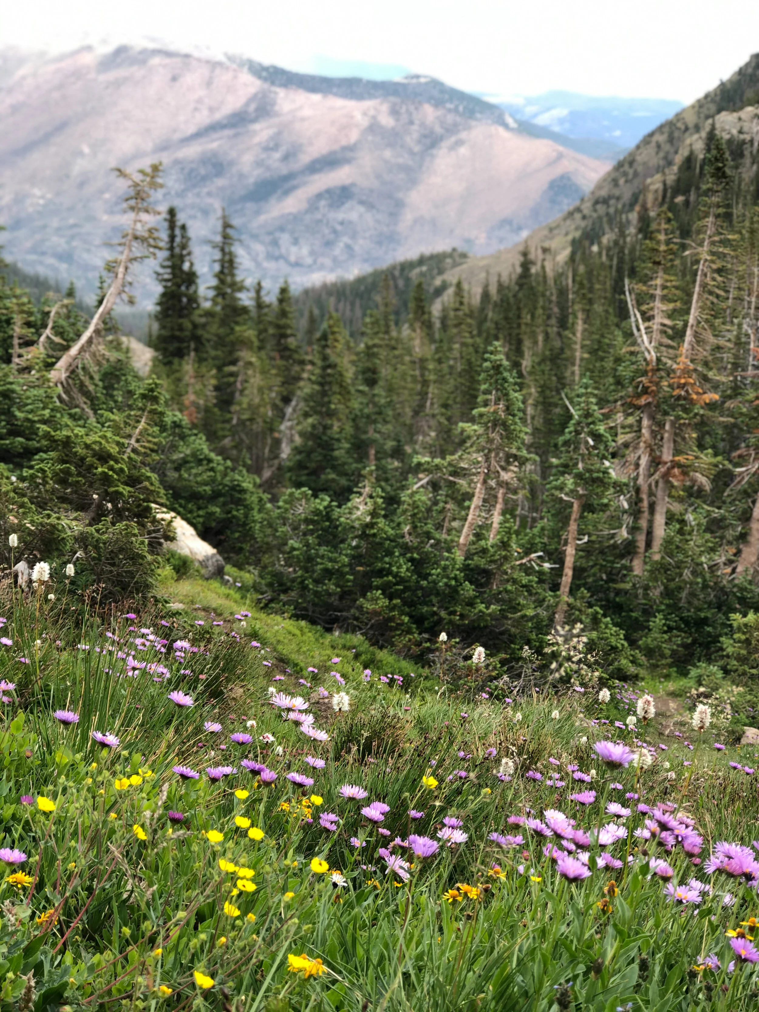 aiyanaskygrayphoto-05.jpg