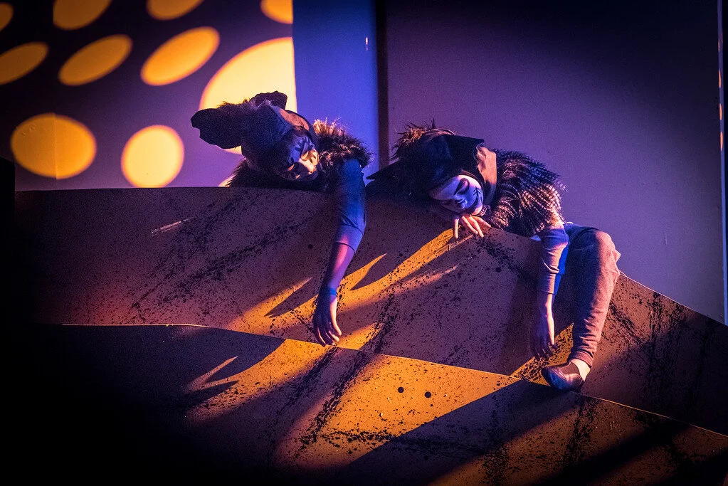 KevinKingPhotography-i-8Hbg9Ft-XL-sleeping hyenas copy.jpg