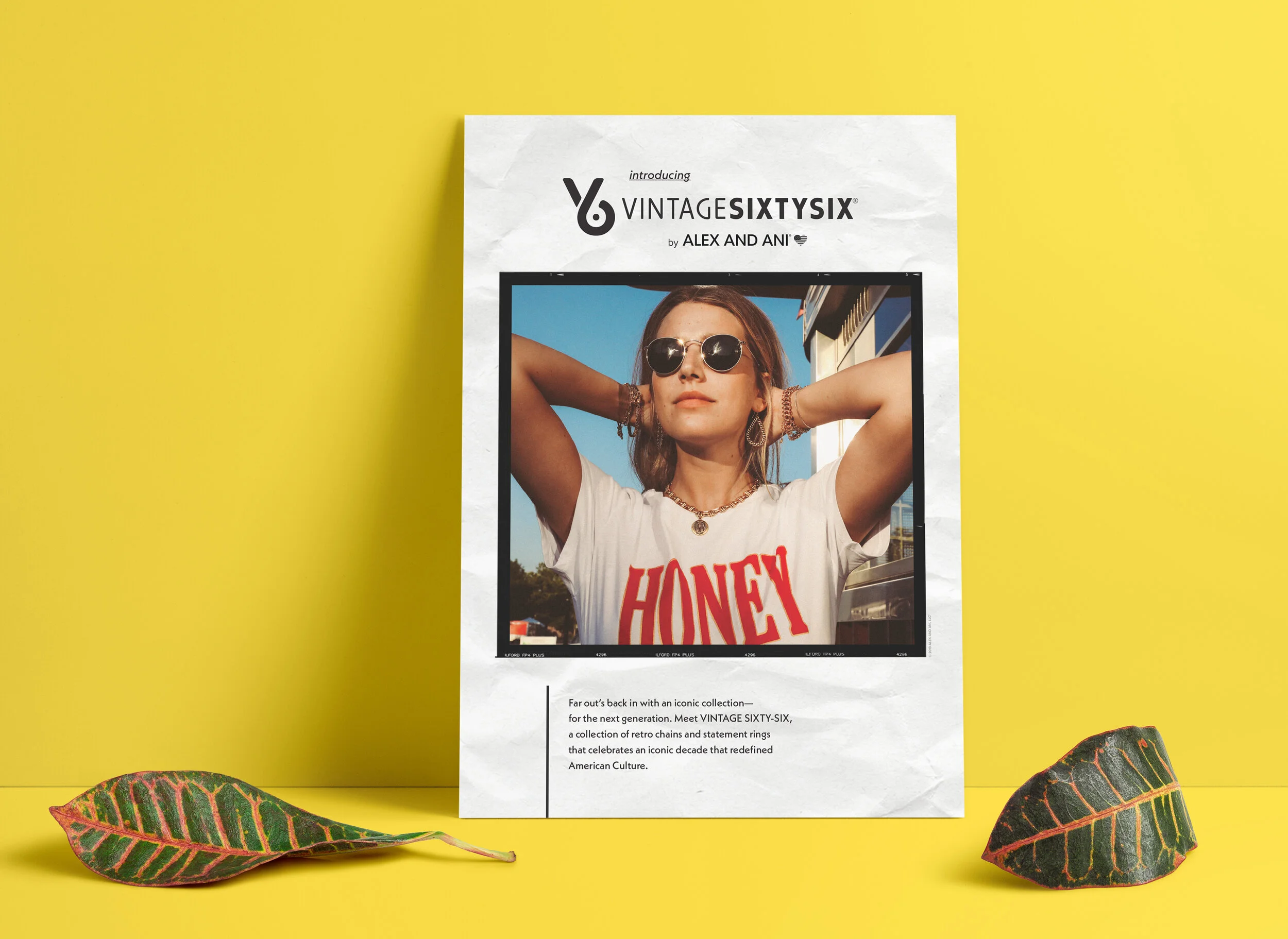 V66-Poster-mockup1.jpg