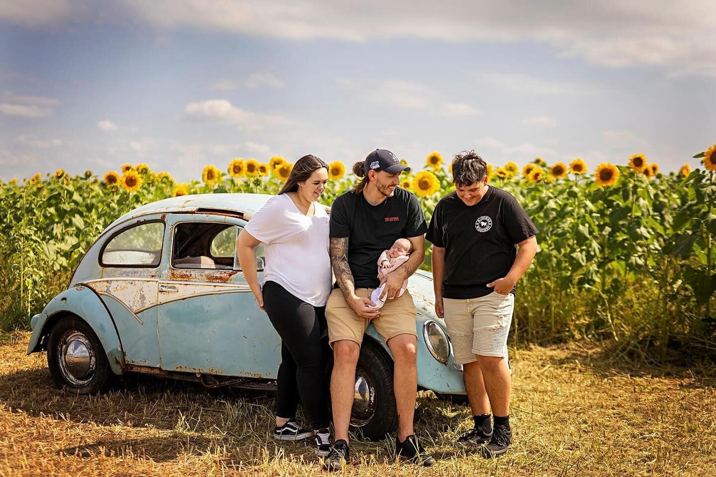 Looking for something to do this long weekend that is low cost and the kids will love? We visited the Hunter Valley Sunflowers at Largs yesterday afternoon and it was just beautiful. All of the hidden objects throughout the flowers made the exploring