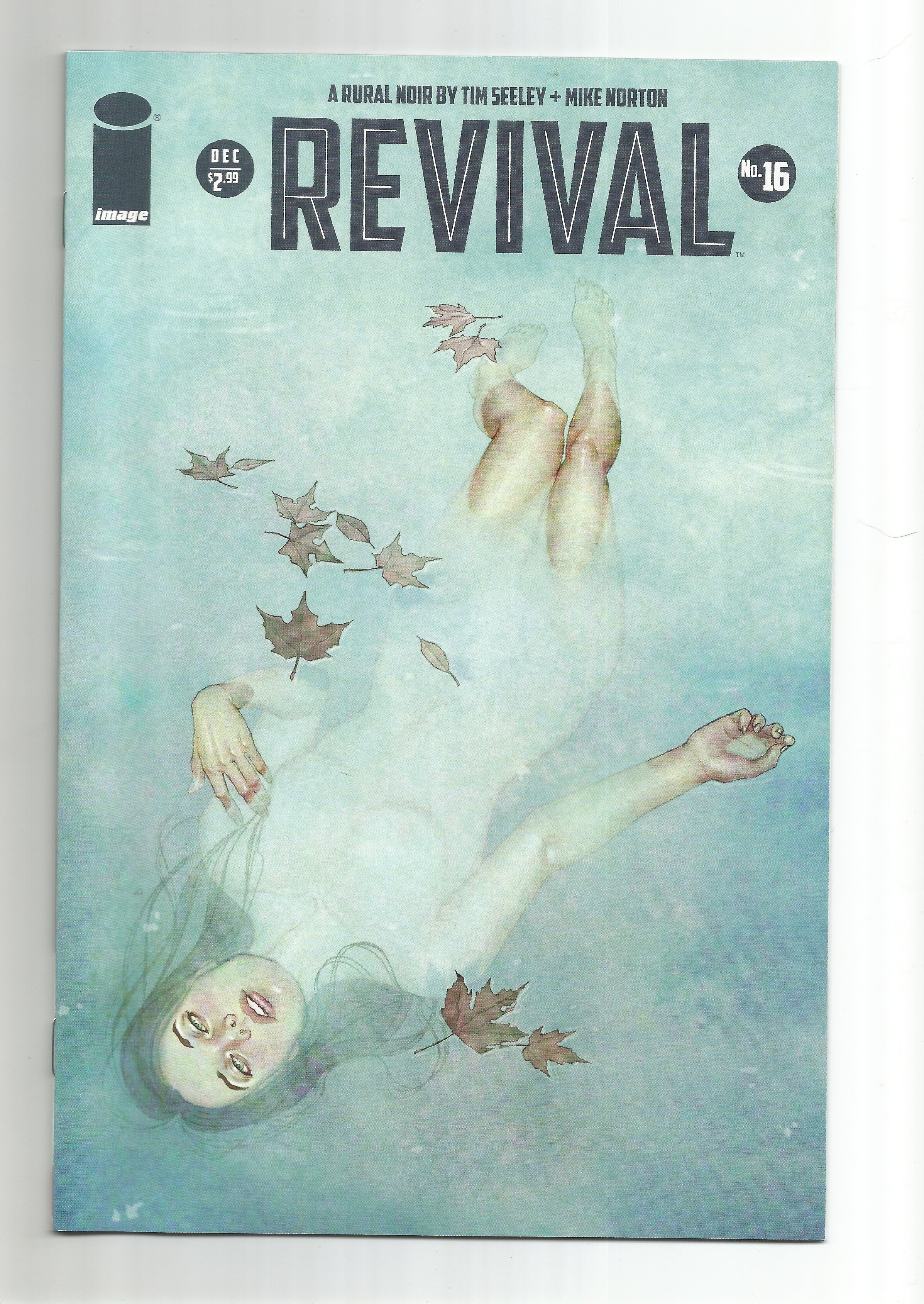 revival 16 1.jpeg
