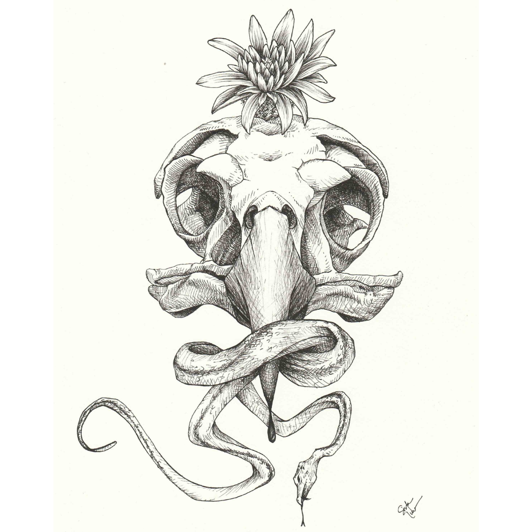 29. BIRD