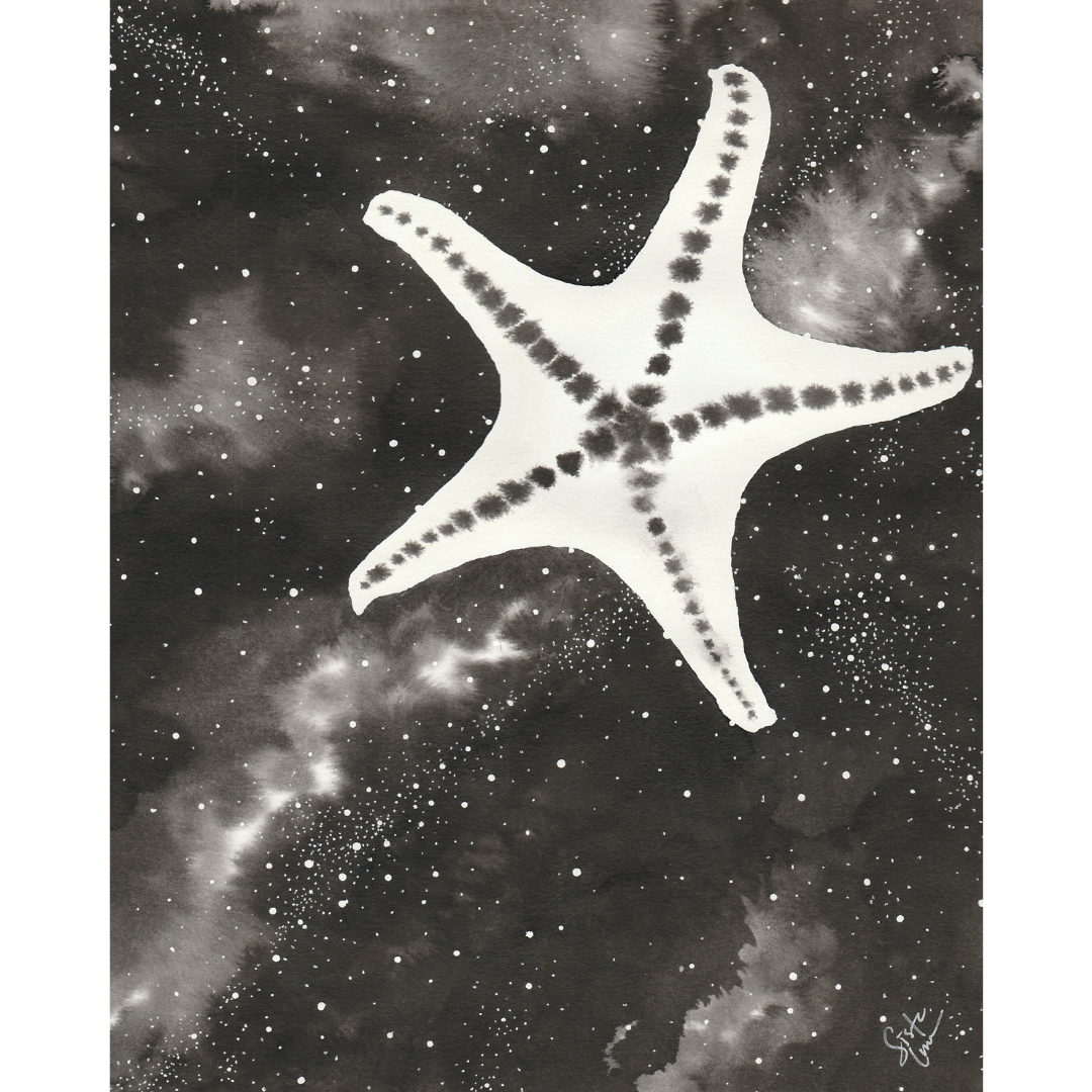 7. Starfish