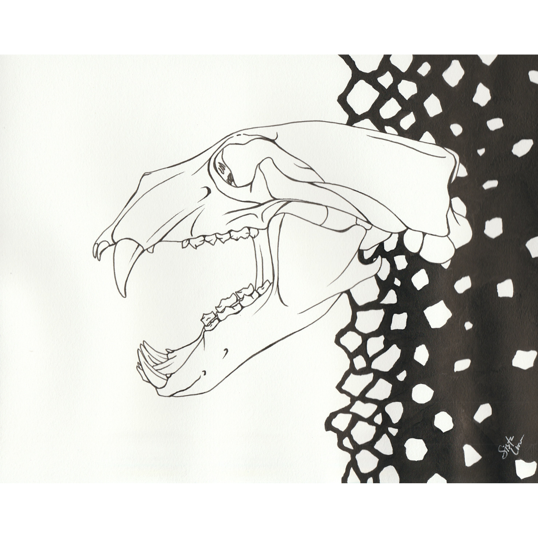 19. Arctic
