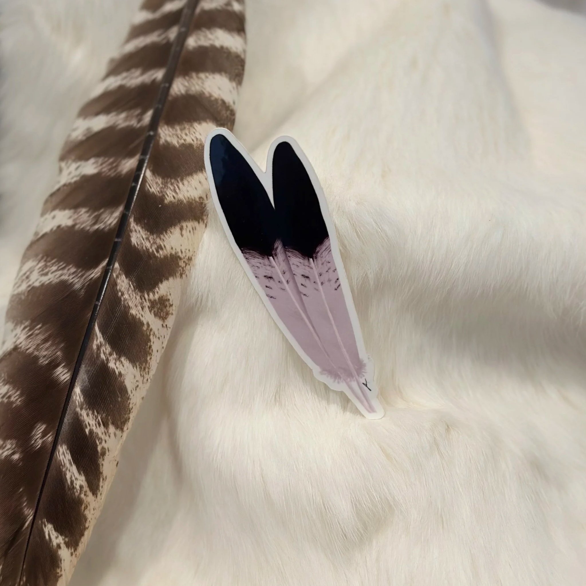 Eagle Feather Sticker