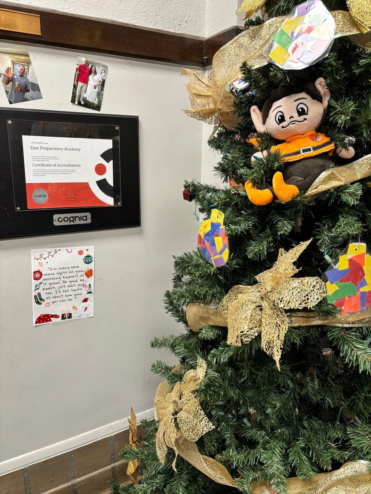 Brownie strikes again&hellip;. can you spot him?