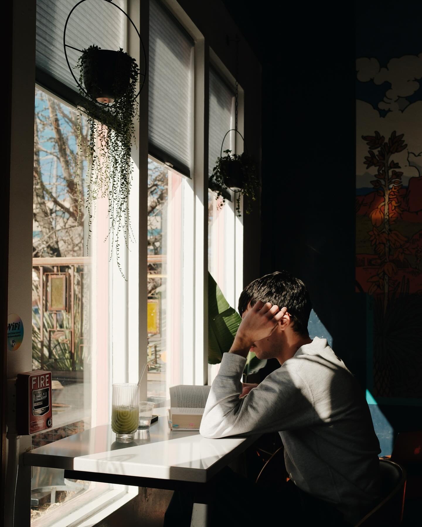 The perfect place to soak up some sunshine 🍵